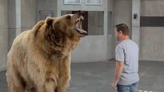 If "Real People" Commercials were Real Life - CHEVY Fuel Efficiency/Grizzly Bear