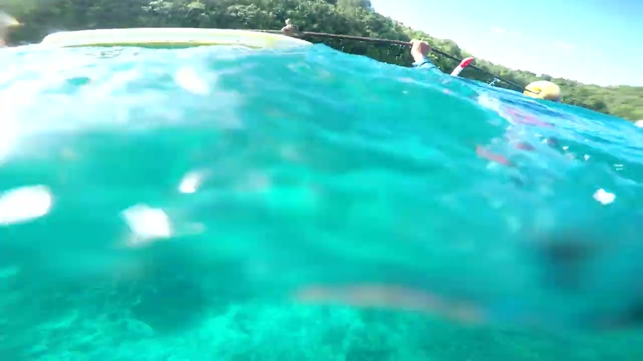 giant clam city Palau