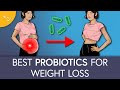 Top probiotic strains for weight loss