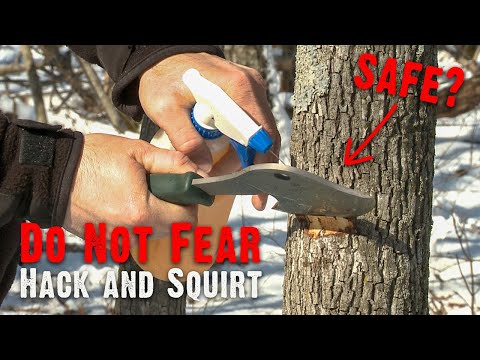 Don't Fear Hack
