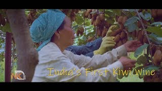 Kiwi Wine | Nara Aaba | Ziro| Arunachal Pradesh