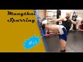 Muay thai sparring15 muaythai sparring training kickboxing fight zen boxing boxer