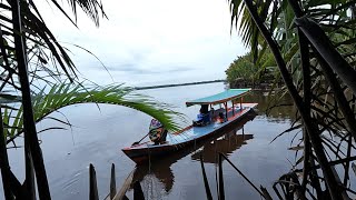 Seharian mencari lauk di sungai langsung masak udang kecap kesukaan anak-anak