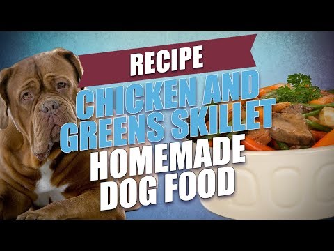 chicken-and-greens-skillet-homemade-dog-food-recipe