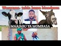 MAAJABU YA PWANI Wanyama Wanaoongea Kama Binadamu 亟 亟 亟 Riqskits Trending Rncomedy Subscribe MAAJABU YA PWANI Wanyama Wanaoongea Kama Binadamu 亟 亟 亟 Riqskits Trending Rncomedy Subscribe