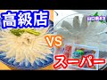 絶品旅【山口県グルメ】高級魚ふぐを格安で食べる方法！下関で春帆楼さんのふくを頂く