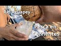 Tercera pesca consecutiva en Rio Aguapey! tomamos agua de coco, asado, picada y más..!