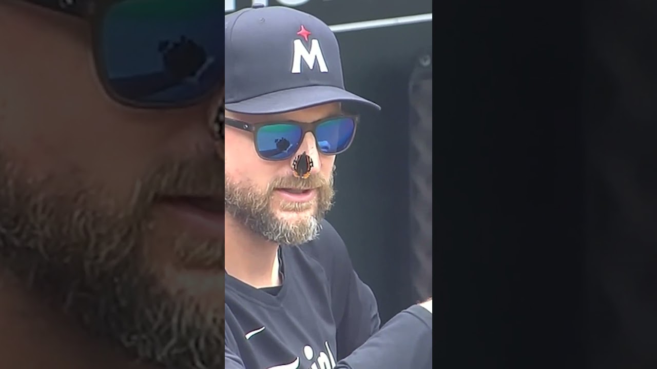 This butterfly had a front row seat to the Twins game. 🤣