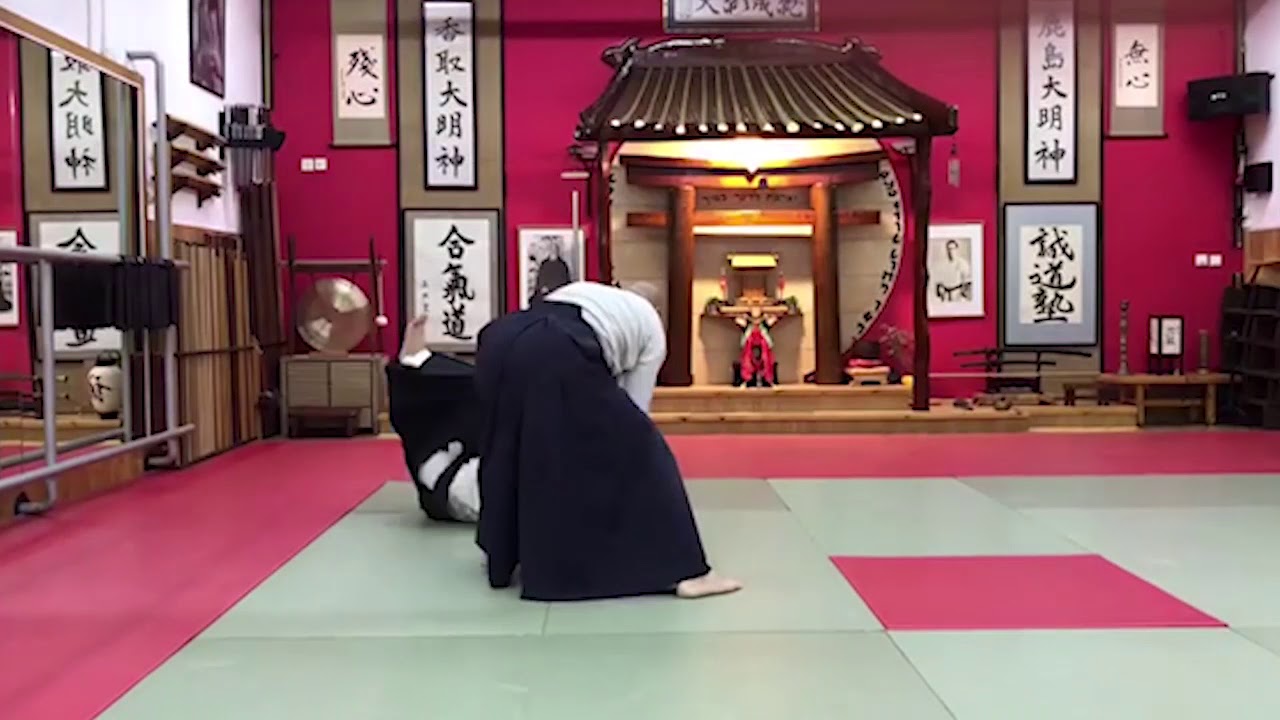Aikido Aikikai in Raanana Israel  Sensei Eli Bitran Dan 6