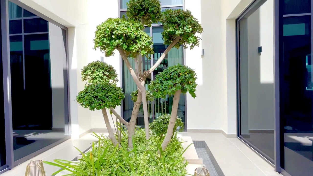 Luxury Fountain Design