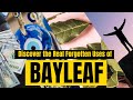 Discover the real forgotten uses of bayleaf must watch  yeyeo botanica
