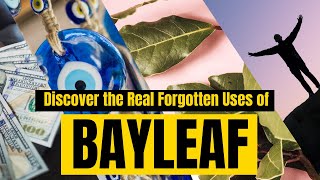 Discover the REAL FORGOTTEN USES of BAYLEAF. Must Watch | Yeyeo Botanica Profile