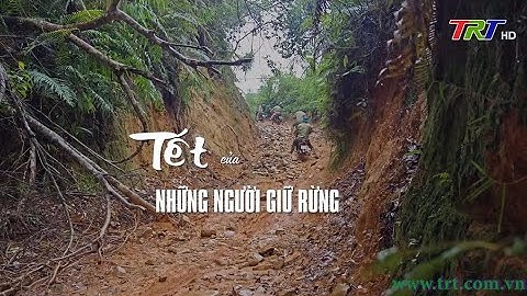Góc Huế trong tôi (Số 231): Tết của những người giữ rừng