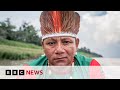 Is unprecedented drought pushing the amazon to the brink  bbc news