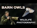 WILDLIFE PHOTOGRAPHY: BARN OWLS: Part One