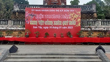 Triển Lãm Cây Cảnh Sơn Tây