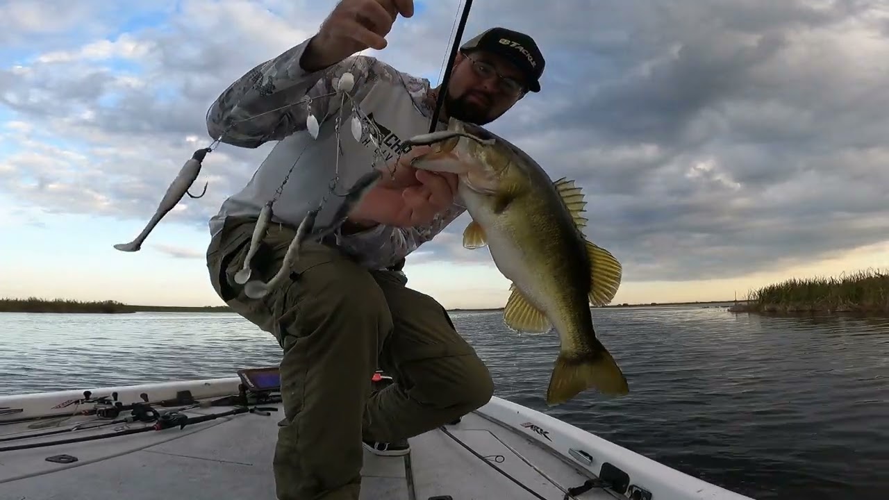 Bass fishing Fellsmere lake ( October 2024 )