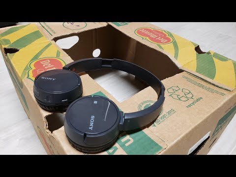 Sony WH-CH500 Review