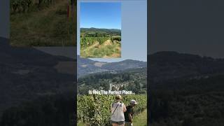 🍷 Hidden Gem of Tuscany! Greve in Chianti’s Secret Wineries & Unbelievable Views! 😲Travel Guide