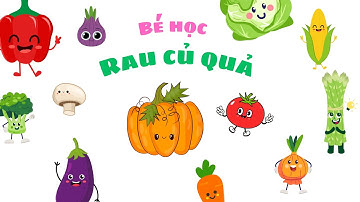 Bé học các loại rau củ quả. Cà chua, cà rốt, bí đỏ,….