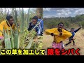 畑を荒らす猿を絶対にしばきたいケニア人の知恵が凄かった