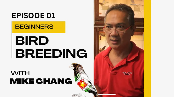 BIRD BREEDING TIPS FOR BEGINNERS E.01 | GESPREK ME...