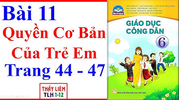 Giáo Dục Công Dân 6 Bài 11 | Quyền Cơ Bản Của Trẻ Em | Trang 44 – 47 | Chân Trời Sáng Tạo
