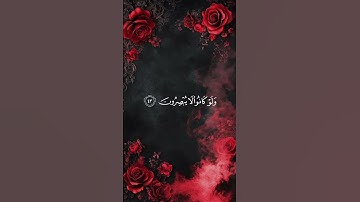القارئ عبد الرحمن مسعد