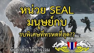 มนุษย์กบ หรือ SEAL สุดยอดนักทำลายใต้น้ำจู่โจม รบพิเศษที่แข็งแกร่งที่สุด