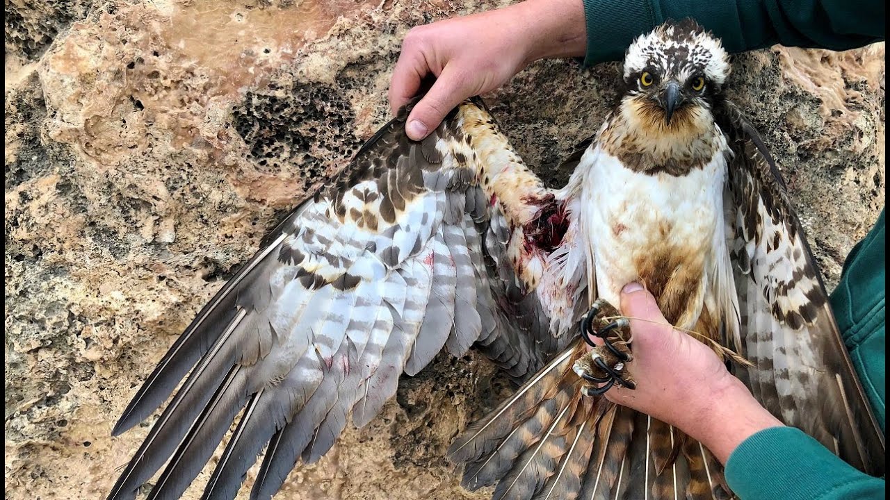 Spring Hunting Season 2022