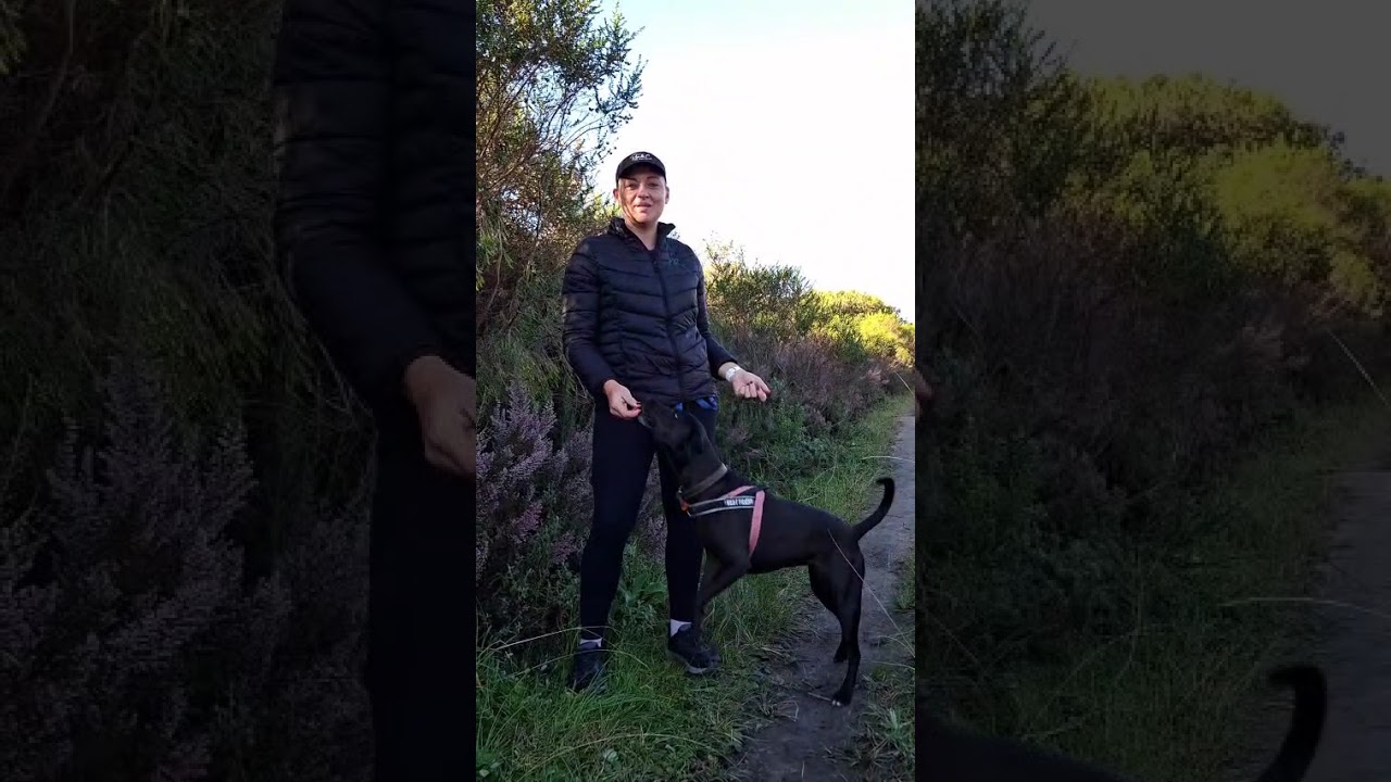 Rose & Co -Meet Elmi & Rose &mdash; the heart behind Rose & Co Dog Walks...and Kobus, behind the camera!