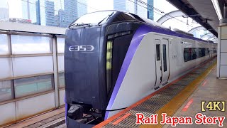 E353 series Limited Express trains at Tokyo Station, Japan, September 2025