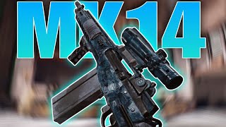 Can the Frozen mk14 dominate the loot league? Full gameplay | Arena Breakout