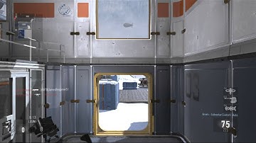 Advanced Warfare Best class setup Ameli Subverter