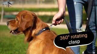 Active Pets Strong Dog Leash by ActivePets 78 views 2 years ago 32 seconds