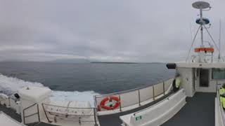 📸 360° VR 📌 Puffins of Reykjavik Iceland