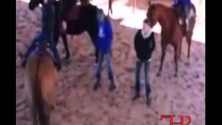 Harlem Shake - Horse Style