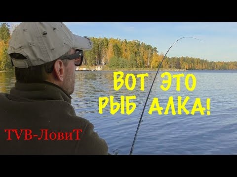 Video: Sverdlovskas apgabala ezeri: pasakainas brīvdienas un lieliska makšķerēšana