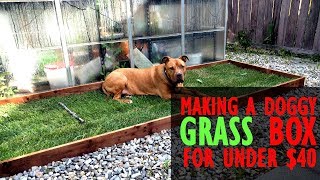 Part 2: Preparing for a Foster Dog  Creating a Grass Patch for under $40 making space for a rescue