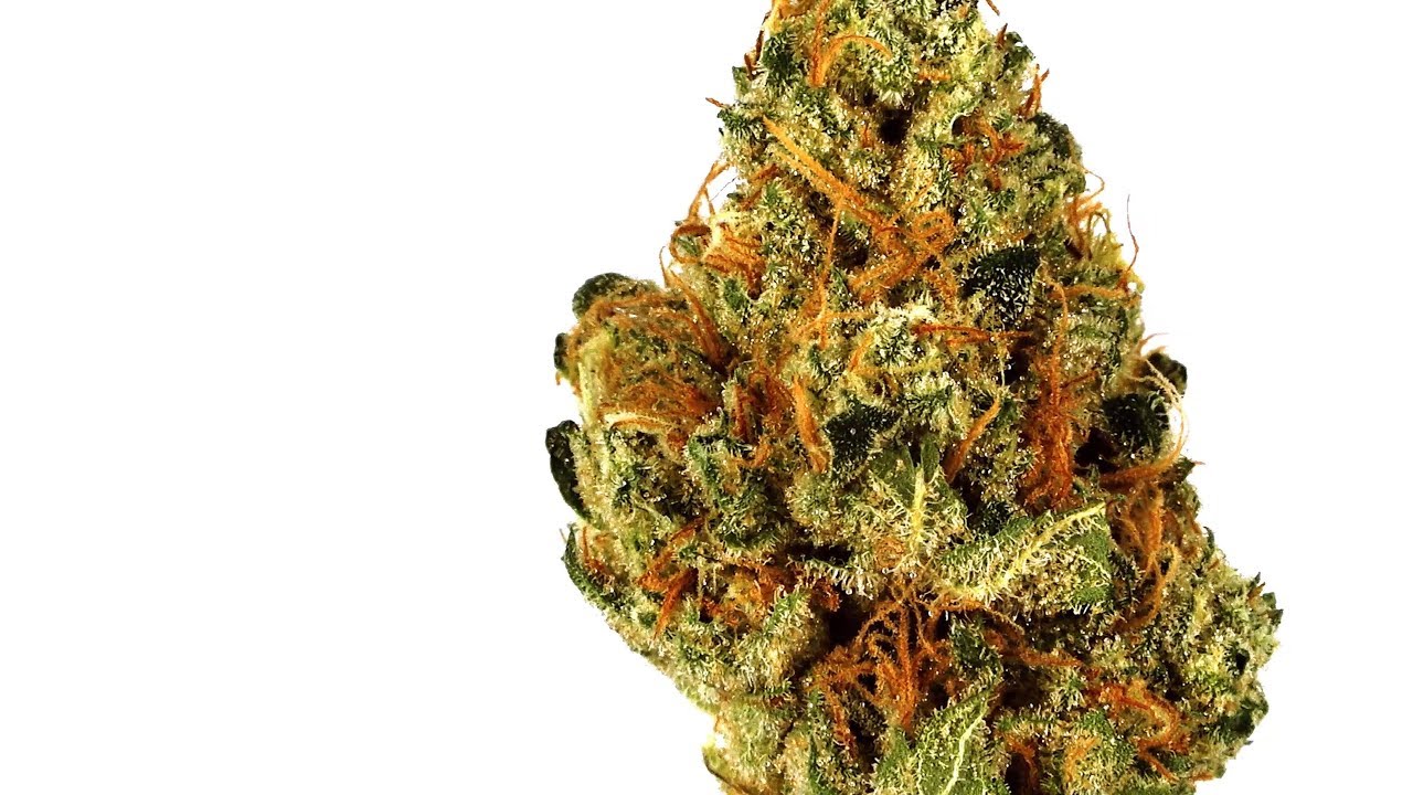 UK Cheese | Strain Review