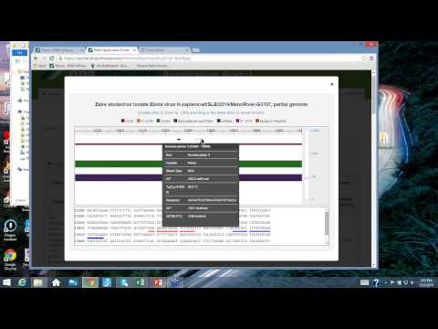 How to Eliminate False Positives and Off-Target Effects From Your DNA Diagnostic Assays