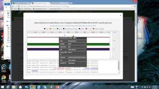 How to Eliminate False Positives and Off-Target Effects From Your DNA Diagnostic Assays