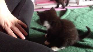 Scar and Family 05212015 069