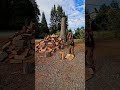 more chopping #father #firewood #homeworkout #woodsplitting #diy