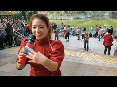 屯門公園三公主 2018年12月22日 妙妙