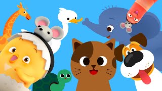 동요모음 | 꼬모팝 | 귀여운 동물 친구들 모여라! 15분 모음