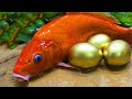 Stop Motion ASMR - Reds Fish Octopus Yellow Frog Petsmart eel in hole Primitive Cooking Cuckoo
