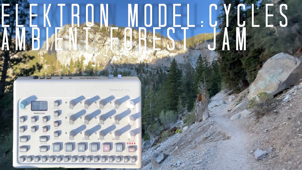 Forest Ambience with Elektron Model:Cycles-Episode 6