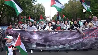 Hundreds march in support of Palestine in Berlin