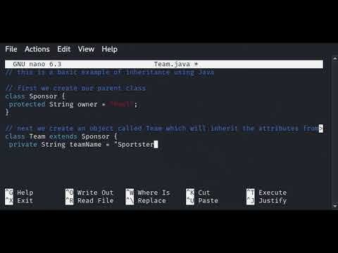 Inheritance in Java - Code Example & Explanation